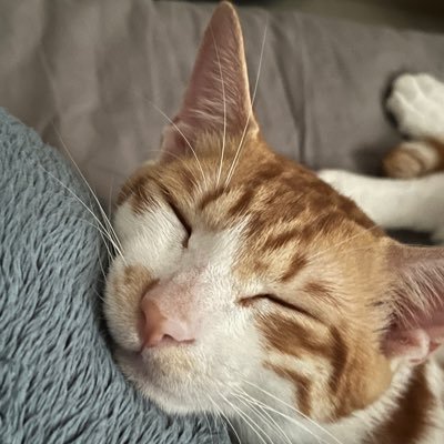 agulbjlt's profile picture. Keep going until you arrive.