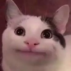 Aman_bkx781's profile picture. Living in a country with #WeakestPM