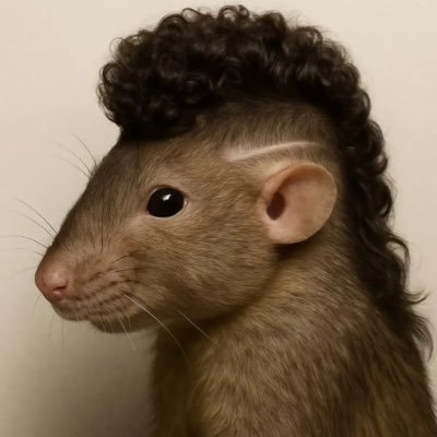 Mangoooprr's profile picture. 19
