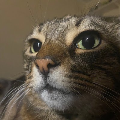 TyGuy550440's profile picture. 