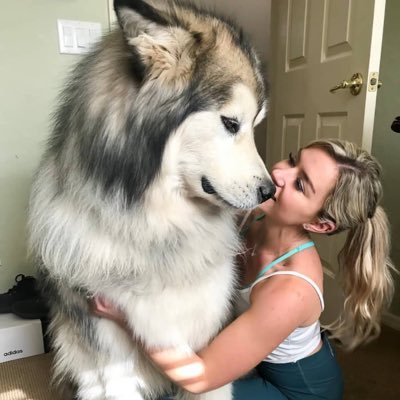 SteezeTha's profile picture. K9 Queen of Beastality🐶🔥❤️