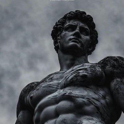 Follow GladiatorReal to become a modern warrior: maxed-out body, sharpened mind, and unstoppable presence.