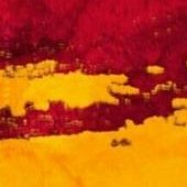 E_EmirSerrac's profile picture. PLTJ THY & Basketbol