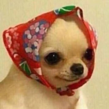 Kumarnny55's profile picture. ทุกคนช่วยออกจากประเทศไทยได้มั้ย เราอยากอยู่คนเดียว | มาฟังตุตี้เบียว และ บ่นกันเถอ