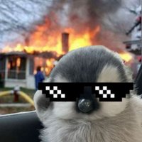 . (@ix229) 's Twitter Profile