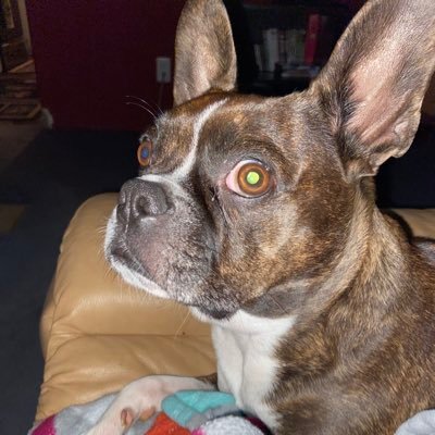 Huckleberry7070's profile picture. Married. Just a guy who cares about his country. DM = BLOCK. MAHA first! Prior USAF, former police officer and an Environmental Scientist.