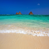 N6kYEDK2As36888's profile picture. 効率重視、楽観的性格で、書道、キャンドル作り、華道などに興味を持っています。現在は資格取得を目指しているです。