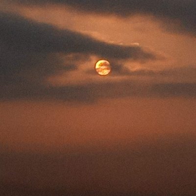 ik_peters's profile picture. 