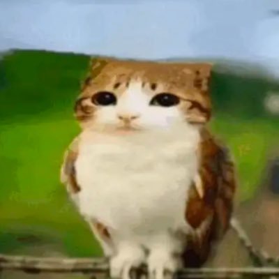 🇦🇶 based CTF-Strategist | kinuzao tech is unmatched | Red-Team Lead | Self-proclaimed APT-Expert | Romans 8:31