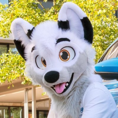 🏴 | 26 | ♂️ | White Fox 🤍 | Cars & Coffees 🚘☕️ | @lorfythefox suiter |