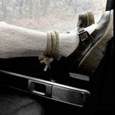 cxsstwt's profile picture. 18+ MDNI | She/her 21 | Sub
