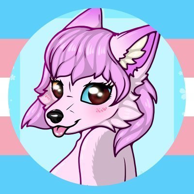 Furry |♀️|🏳️⚧️she/her🏳️⚧️|🐾Fluffy, wolfy, and fabulous | Tongue out, paws out, living my best pink dream | Trans pride, always shining