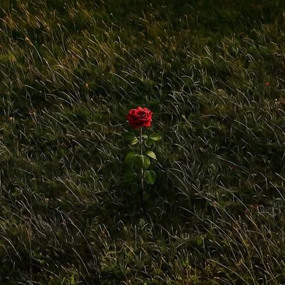 FoadFakhri's profile picture. 