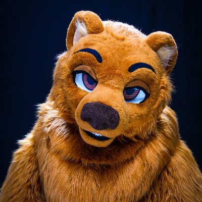@meekthebear
