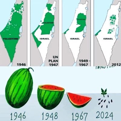 Jessika1420833's profile picture. 🇫🇷🇫🇷🇫🇷❤️❤️❤️🇵🇸🇵🇸🇵🇸