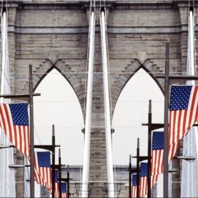 nyerwithheart's profile picture. 🇺🇸The impossible is what Americans do best...President Trump🇺🇲 #VeteransFirst #BackTheBlue #PTSD Retired spec-ed teacher 🇺🇸