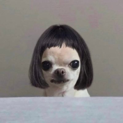 StyledFor1989's profile picture. TayWarrior  • 1989 Stan • Not affiliated with @taylorswift13