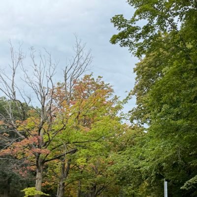 Krishna56379035's profile picture. 