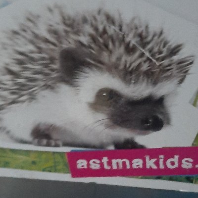 itsDanubi's profile picture. SSBM  ☼  Committed competitor (singles and dubs ♡)☼