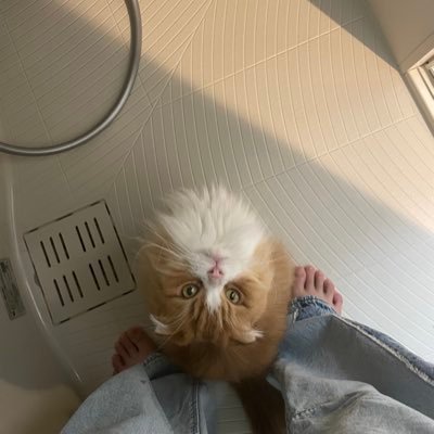 1匹🐱と2人🙍‍♀️🙍‍♀️暮らし🌈恋人との日々📓
