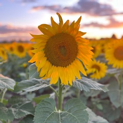 Andrew420607's profile picture. 