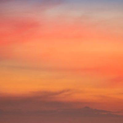 RH71769049's profile picture. 