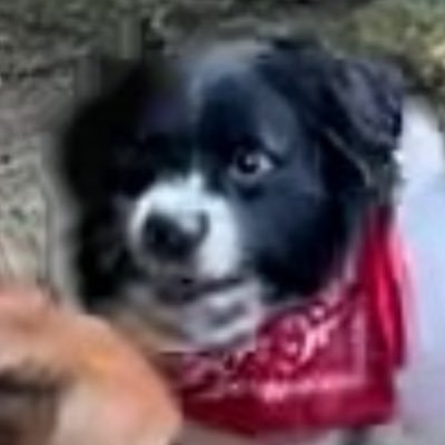 Mariana_0804's profile picture. 