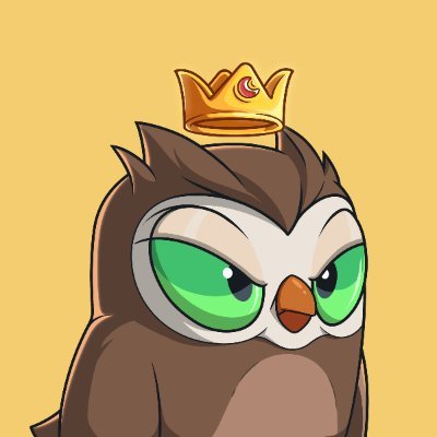 mdilodi's profile picture. 