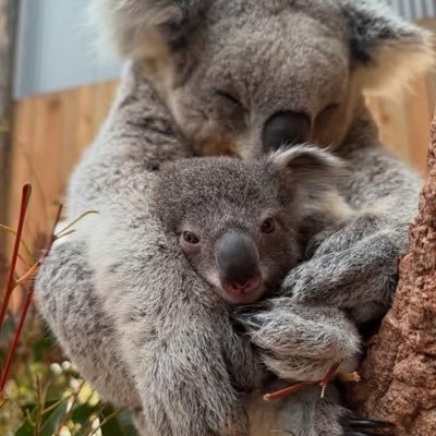 Habbariyako's profile picture. Keep Smiling on an average child smiles 200 times a day as you grow older it reduces in number and add more stress "Be happy"