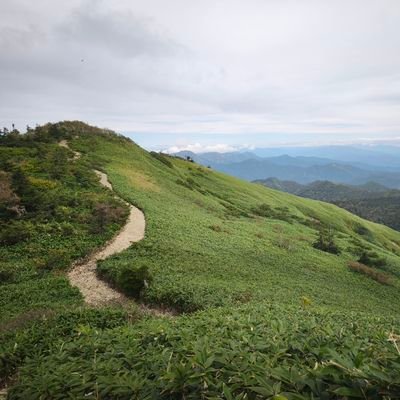 _h__o___o's profile picture. ねじが外れてます。 迷走し過ぎて人生の迷子……