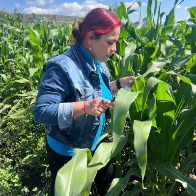 SelRamOrt's profile picture. Soy científica, gusto de la lectura y de un buen café. Me encanta la divulgación y la enseñanza; adoro las plantas, las 🐝 y la ciencia aplicada👩🏻‍🔬🌵🧬