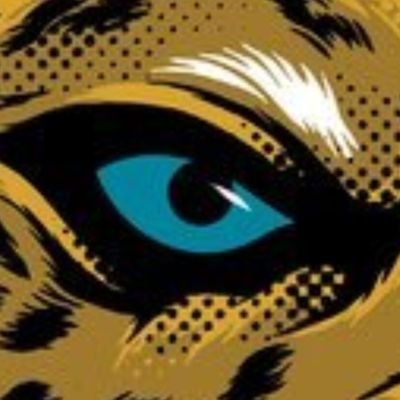 Very passionate Jacksonville Jaguars fan since 1995 and I will stand as a Jacksonville Jaguars fan no question WIN OR LOSE #DUUUVAL