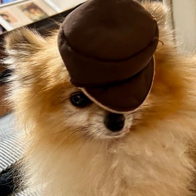 プラモデルと車が趣味のポメラニアンです。 モデラーさんや車好きな方々とつながりができればと! 無言フォローさせて頂きますが、よろしくお願いします!