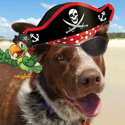 Bearbum888's profile picture. Hi I is Chokky, I ran a long way from a bad home and found my new mum, woofwoo and now we has Nala the giant🐾  💜