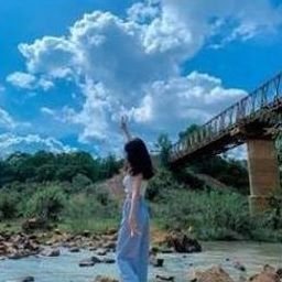 Porjar4847's profile picture. 