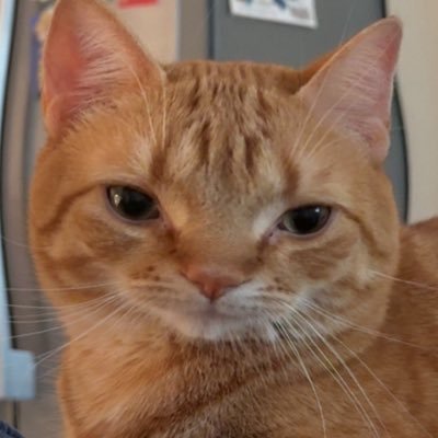 leennguyen's profile picture. 