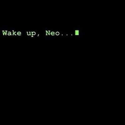 BrunoHe81750717's profile picture. 