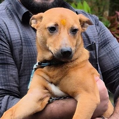 invincible_1997's profile picture. FOREX TRADER 
FUNDED