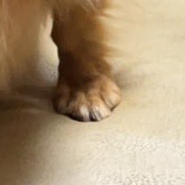 AT95001's profile picture. 20↑ ちよと読みます。7年越しに復帰した出戻り審神者です😌記録とひとりごと垢です。二次創作の閲覧が趣味です。絵師さん、文字書きさんフォローさせていただきます🙇🏻‍♀️