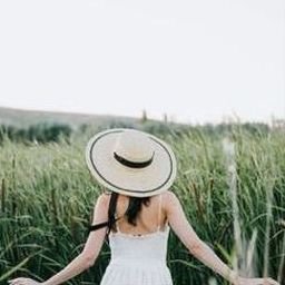 Vluifar2668's profile picture. 