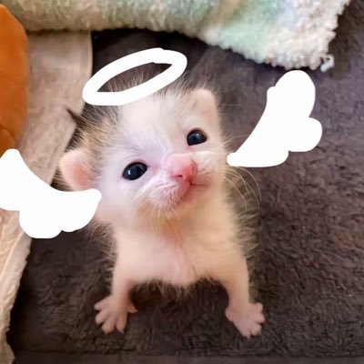 yngfn472954's profile picture. 