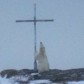 iscel50's profile picture. Not an alarmist but quite alarmed.

Following scientists. Here on twitter since 2009. Banned twice. Typos all mine.