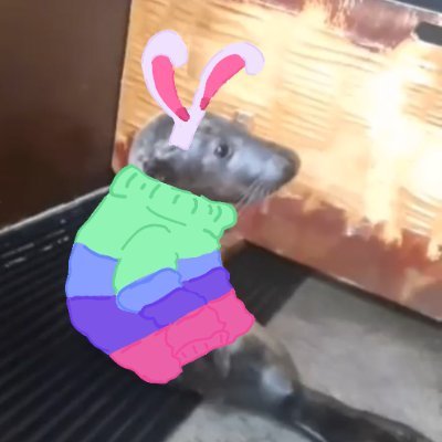 PFP: @mossyseals - Banner: @Aguhiyori - queer rights - https://t.co/UiB05UHdjR - Basic DNI + Mene DNI (:3つ)∍