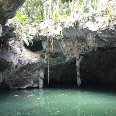 CggOf91120's profile picture. 100% MAGA  *   PUREBLOOD

CHRIST IS KING  *   PROTECT THE CHILDREN

STOP   ISLAMIFICATION   *   SAVE AMERICA