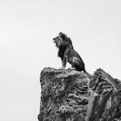 SN8OR's profile picture. يسكنني رجل كبير السن ، يسقيني كثير من حكمته , لذا لا يروقني الكثير من جيلي