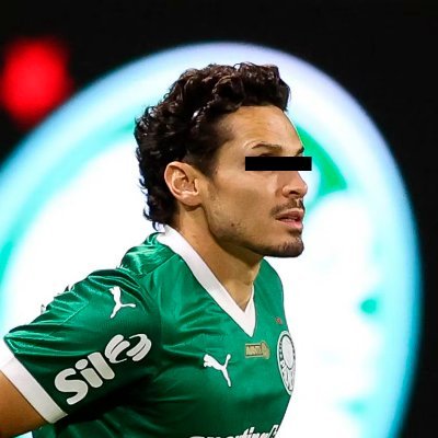 Um alviverde qualquer em busca do inigualável, editor do @onossopalestra
