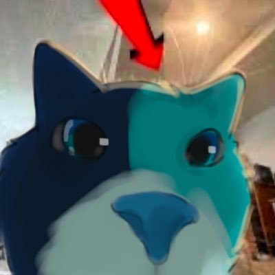 blueberrypuss's profile picture. @blueberrycalico’s other account, SFW despite the name lol