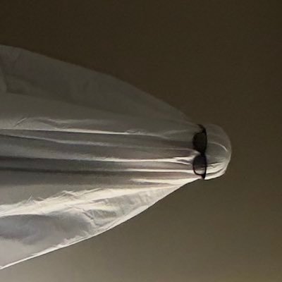 acittaka's profile picture. ～｜𝙐𝘾𝙇𝘼 𝘾𝙎｜Life is cheap, but toilet paper is expansive｜Deca Joins | INFP-T | 火星人雞蛋糕｜我很精采的自介影片連結🔗