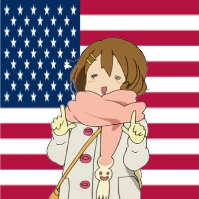 PROUD PATRIOT OF THE USA 🇺🇲🇺🇲 I STAND FOR MY FLAG / @fl00dbacker