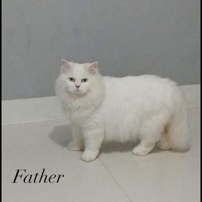 dyini08's profile picture. 